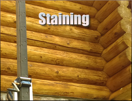  Seaboard, North Carolina Log Home Staining